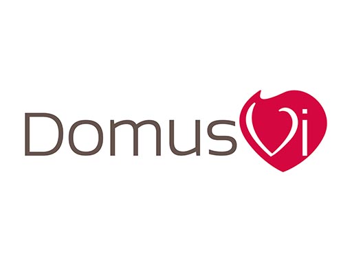 Domus Vi
